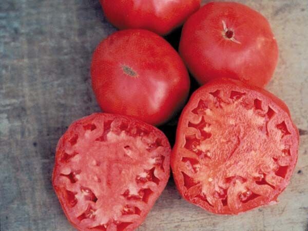 Baker Creek Seed Pack - Tomato, Pink Brandywine 