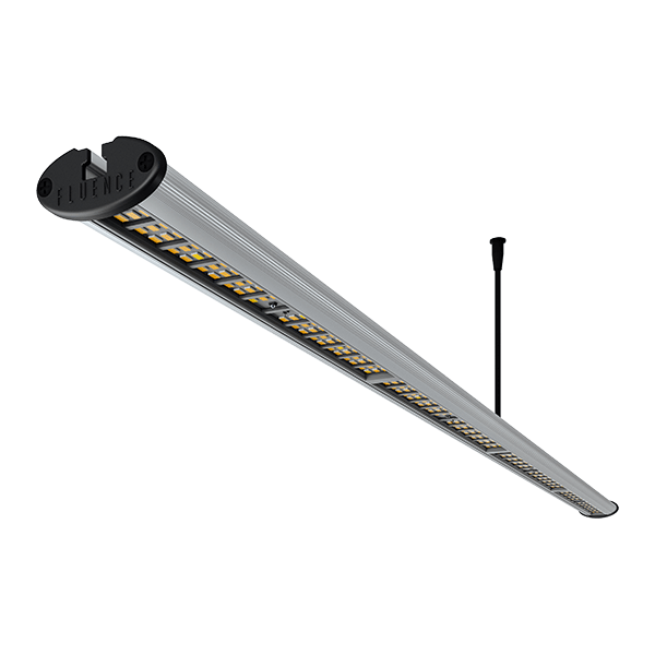 Fluence RAY44 Indoor Physiospec Spectrum