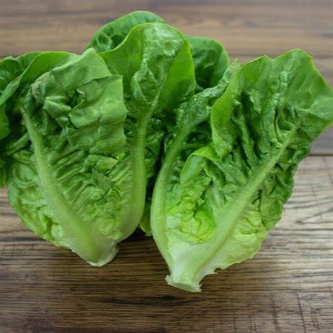 Baker Creek Seed Pack - Lettuce, Little Gem 