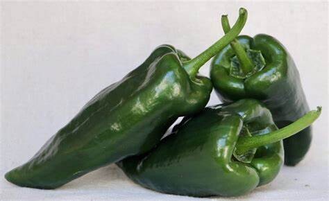 Baker Creek Seed Pack - Pepper, Poblano