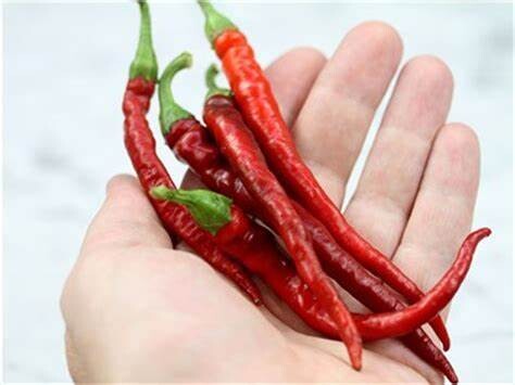 Baker Creek Seed Pack - Pepper, Cayenne Long Thin 