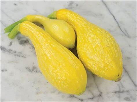 Baker Creek Seed Pack - Squash, Crookneck Early Golden 