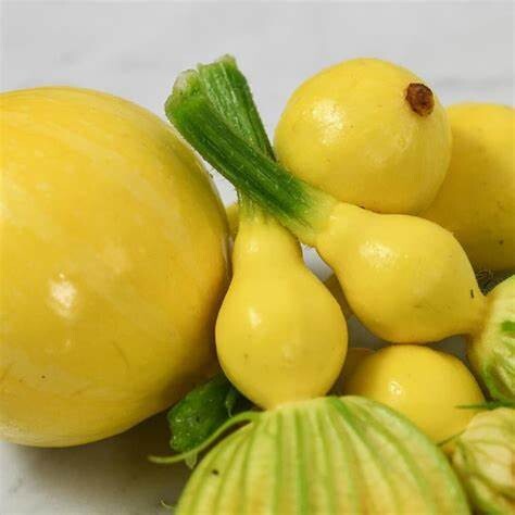 Baker Creek Seed Pack - Squash, Lemon 