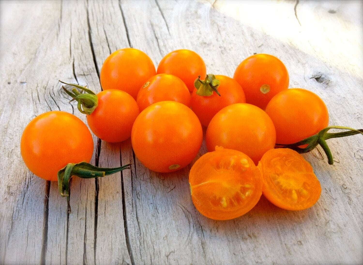 Baker Creek Seed Pack - Tomato, Sungold Select 
