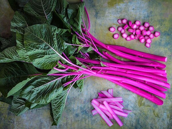 Baker Creek Seed Pack - Amaranth, Pink Beauty