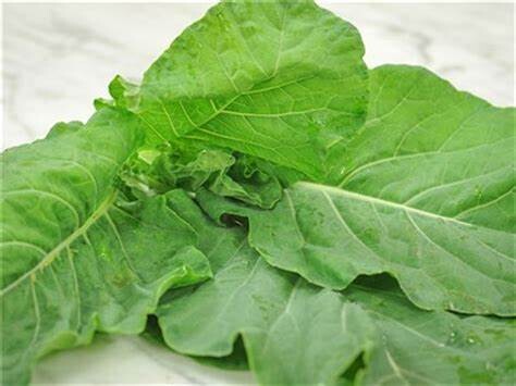 Baker Creek Seed Pack - Collards, Georgia Southern 