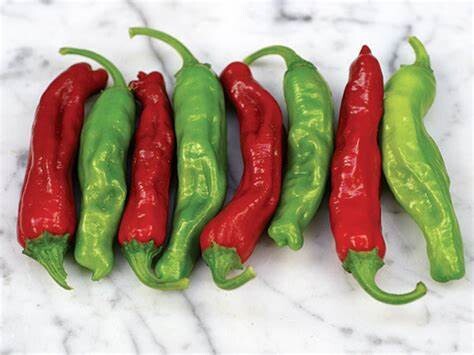 Baker Creek Seed Pack - Pepper, Shishito 