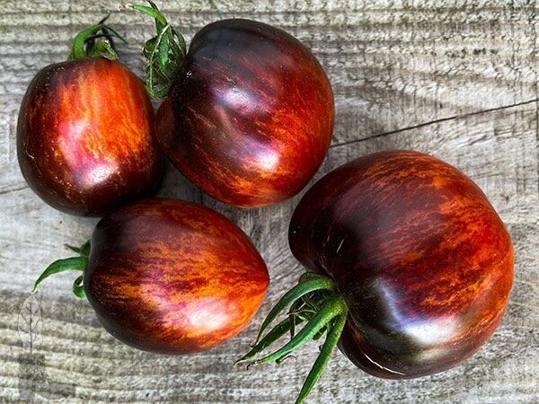 Baker Creek Seed Pack - Tomato, Queen of the Night 