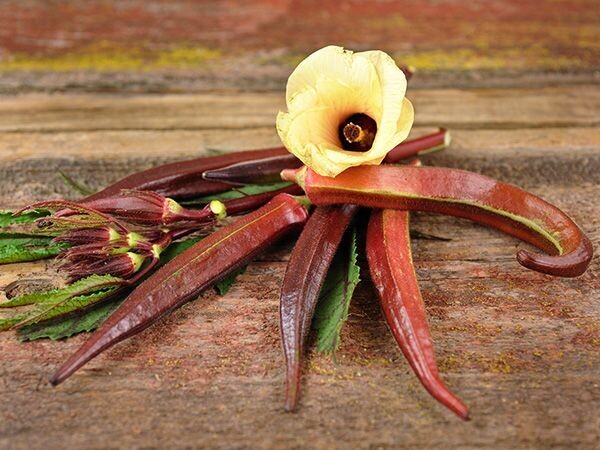 Baker Creek Seed Pack - Okra, Bowling Red 