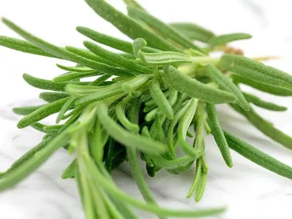 Baker Creek Seed Pack - Rosemary, Rosy