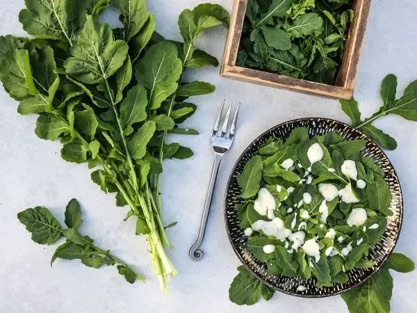 Baker Creek Seed Pack - Arugula