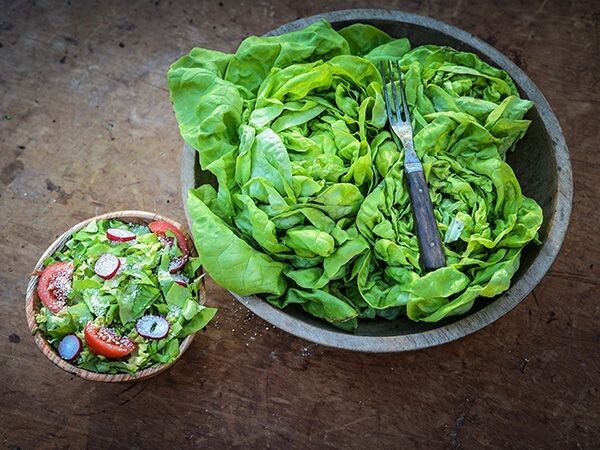 Baker Creek Seed Pack - Lettuce, Gustavs Salad