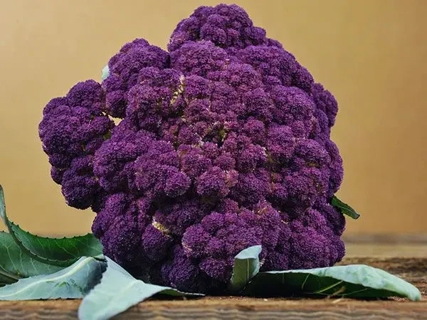 Baker Creek Seed Pack - Cauliflower, Purple of Sicily
