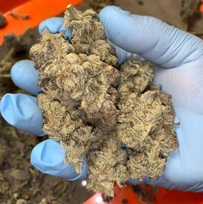 Harvesting MUST-HAVES