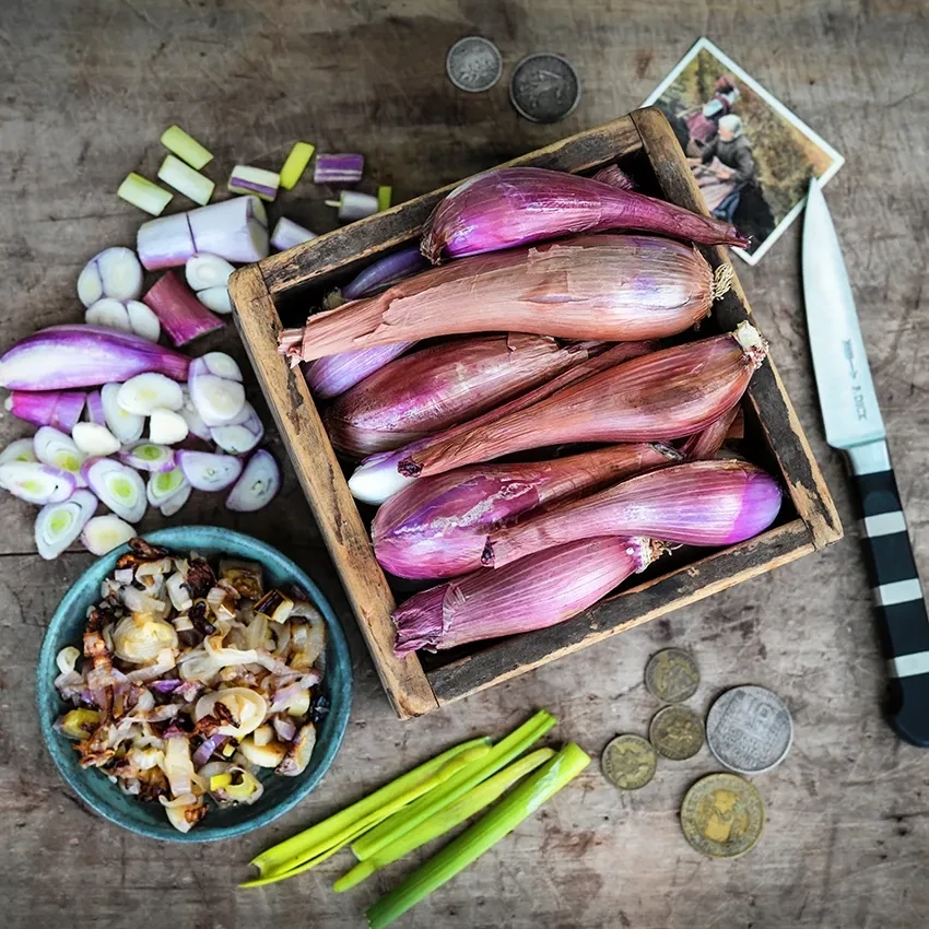 Baker Creek Seed Pack - Onion, Zebrune Shallot 