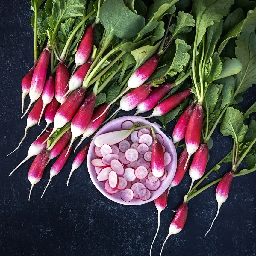 Baker Creek Seed Pack - Radish, De 18 Jours 
