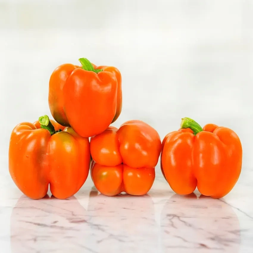 Baker Creek Seed Pack - Pepper, Etiuda Orange Bell 