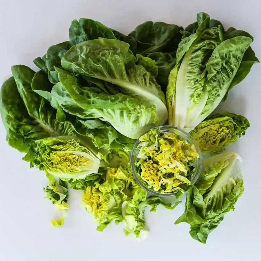 Baker Creek Seed Pack - Lettuce, Buttercrunch 