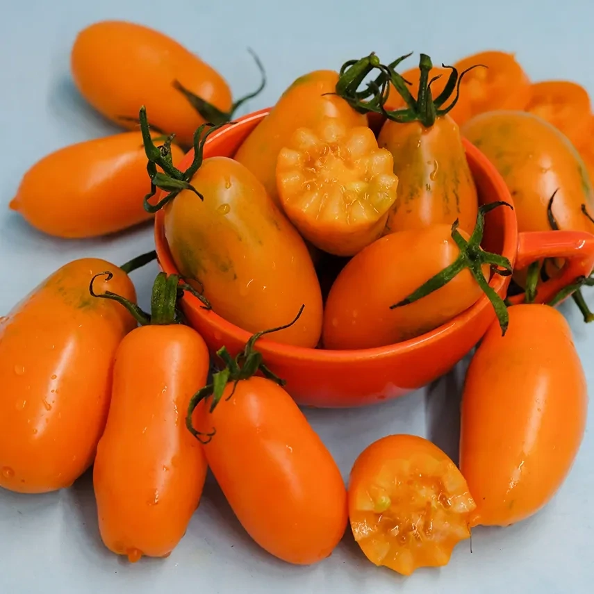 Baker Creek Seed Pack - Tomato, Orange Icicle 