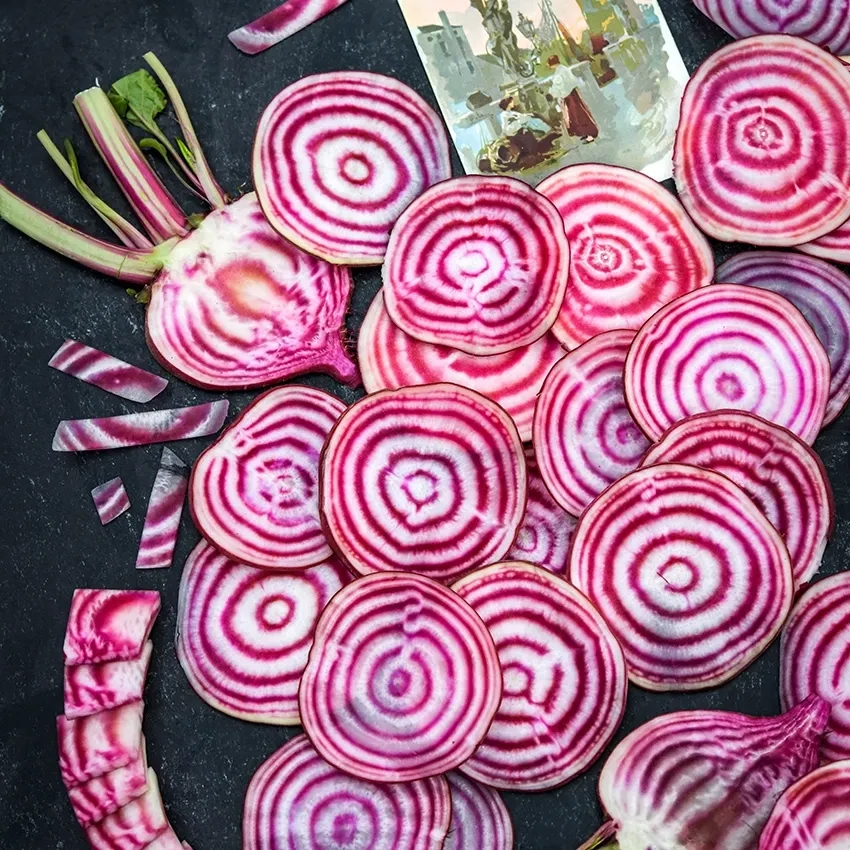 Baker Creek Seed Pack - Beets, Chioggia (Bassano) 