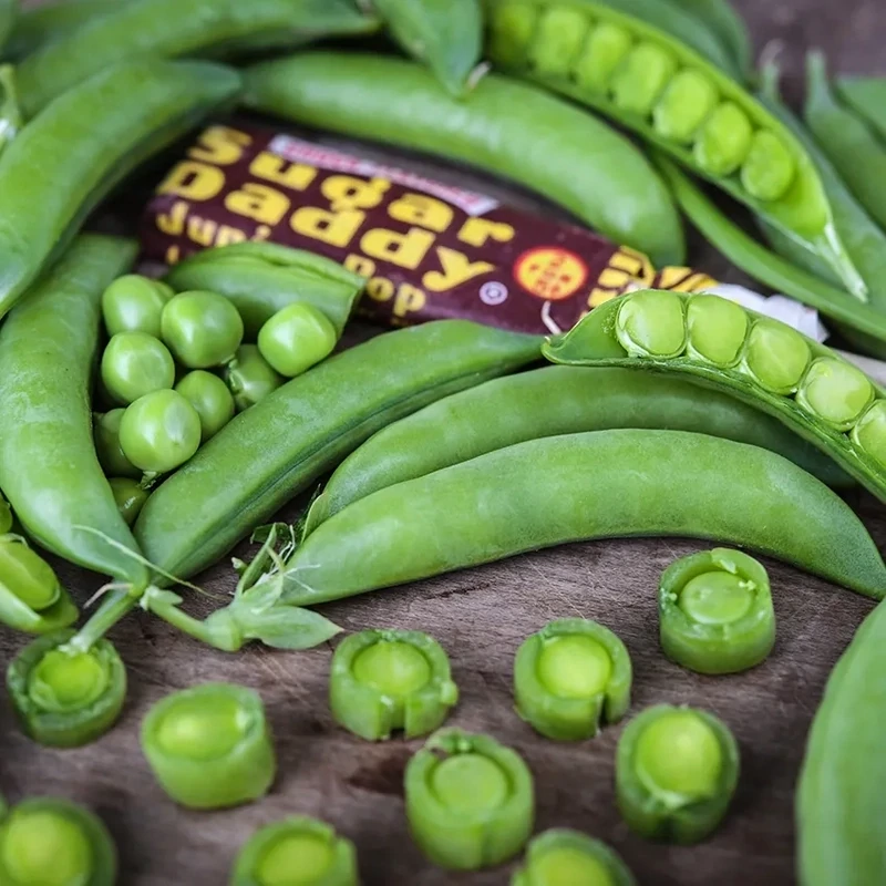 Baker Creek Seed Pack - Peas, Sugar Daddy
