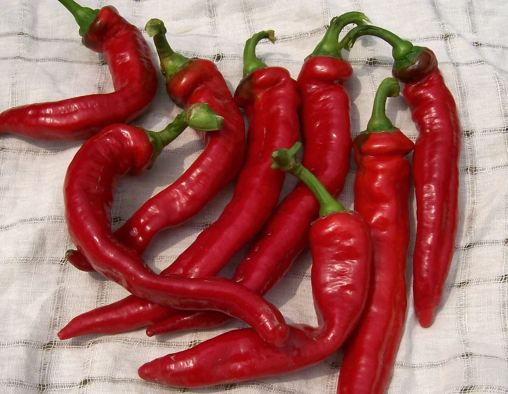 Southern Exposure Seed Pack - Pepper, Jimmy Nardello's Italian 