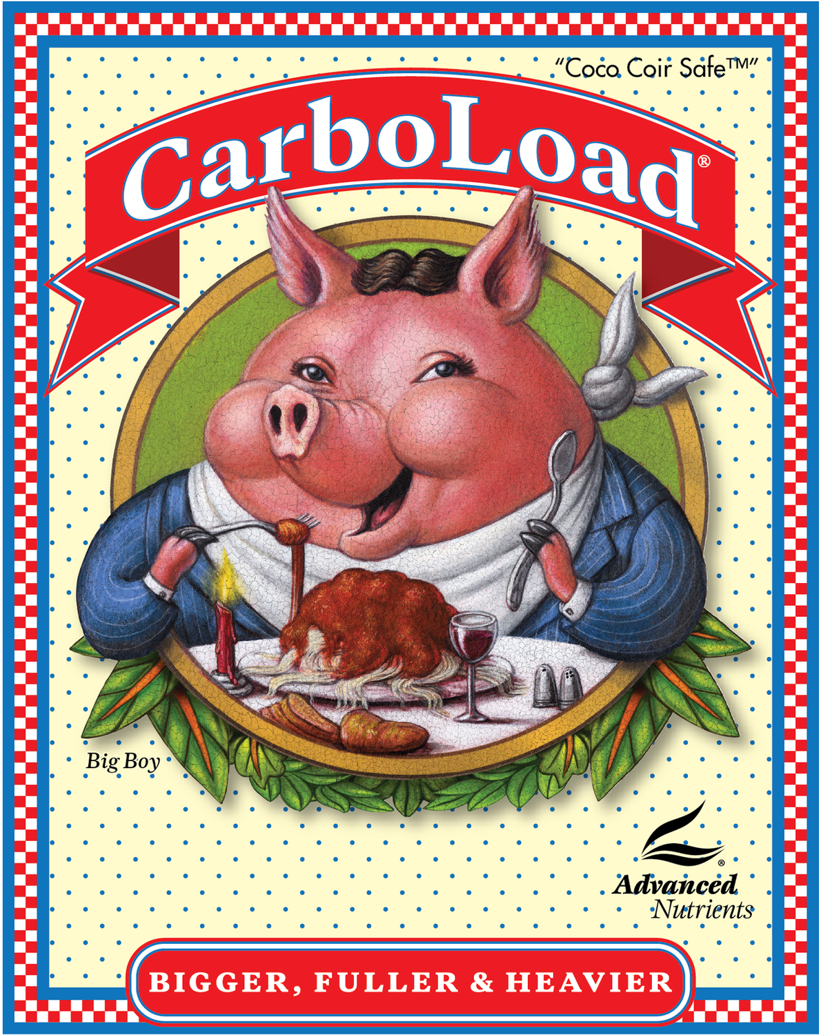 Advanced Nutrients CarboLoad 1L