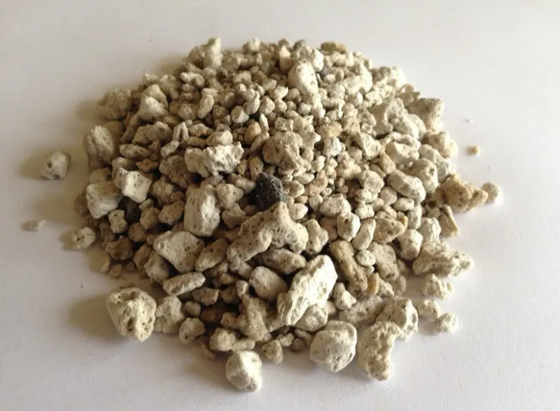 BuildASoil Pumice - 1 CF