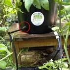 Blumat 8mm Bulkhead / Through-Hull Tank Connector