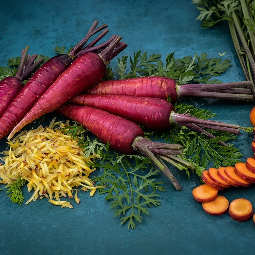 Baker Creek Seed Pack - Carrot, Purple Dragon