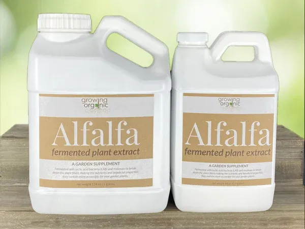 BuildASoil Fermented Plant Extracts:  ALFALFA, 1/2 GAL