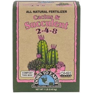 Down to Earth Mini Cactus &amp; Succulent Mix 2-4-8