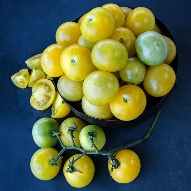 Baker Creek Seed Pack - Tomato, Napa Chardonnay Blush