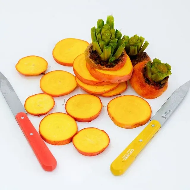 Baker Creek Seed Pack - Beets, Winter Sun (Wintersonne)
