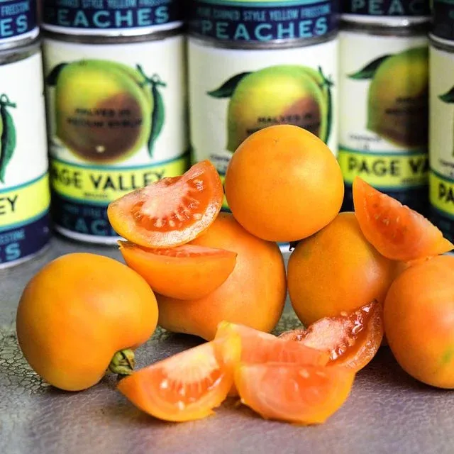 Baker Creek Seed Pack - Tomato, Orange Peach