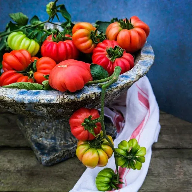 Baker Creek Seed Pack - Tomato, Mushroom Basket