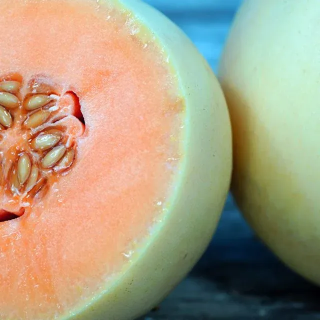 Baker Creek Seed Pack - Melon, Honeydew Orange Flesh