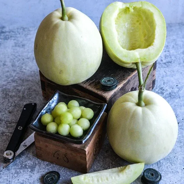 Baker Creek Seed Pack - Melon, Sakata's Sweet