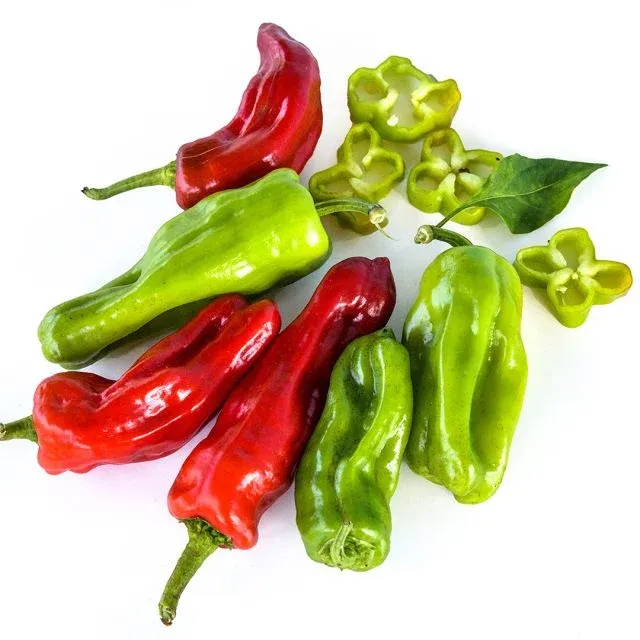 Baker Creek Seed Pack - Pepper, Aleppo