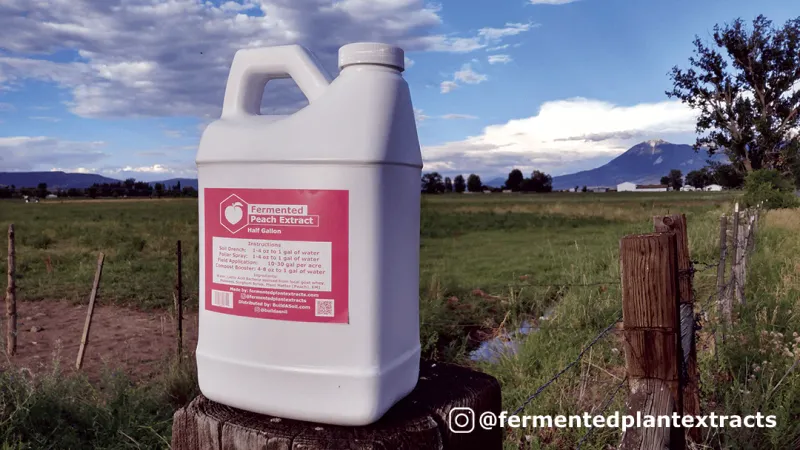 BuildASoil Fermented Plant Extracts: PEACH, 1/2 GAL