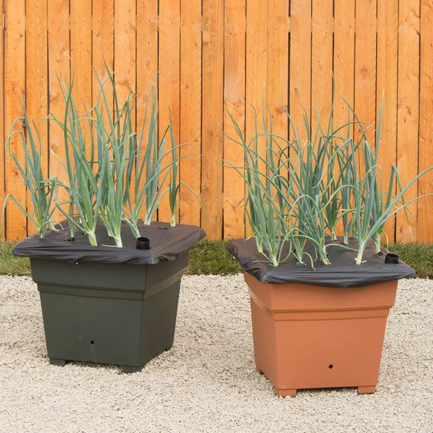 EarthBox Root &amp; Veg Gardening System