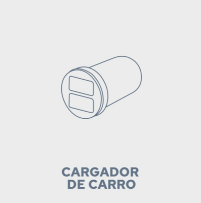 Cargador de carro