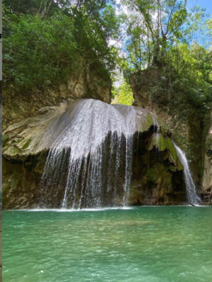 Excursión Hongo Mágico