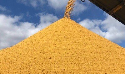 BRICKIES SAND