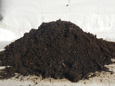 VEGETABLE &amp; FLOWER MIX