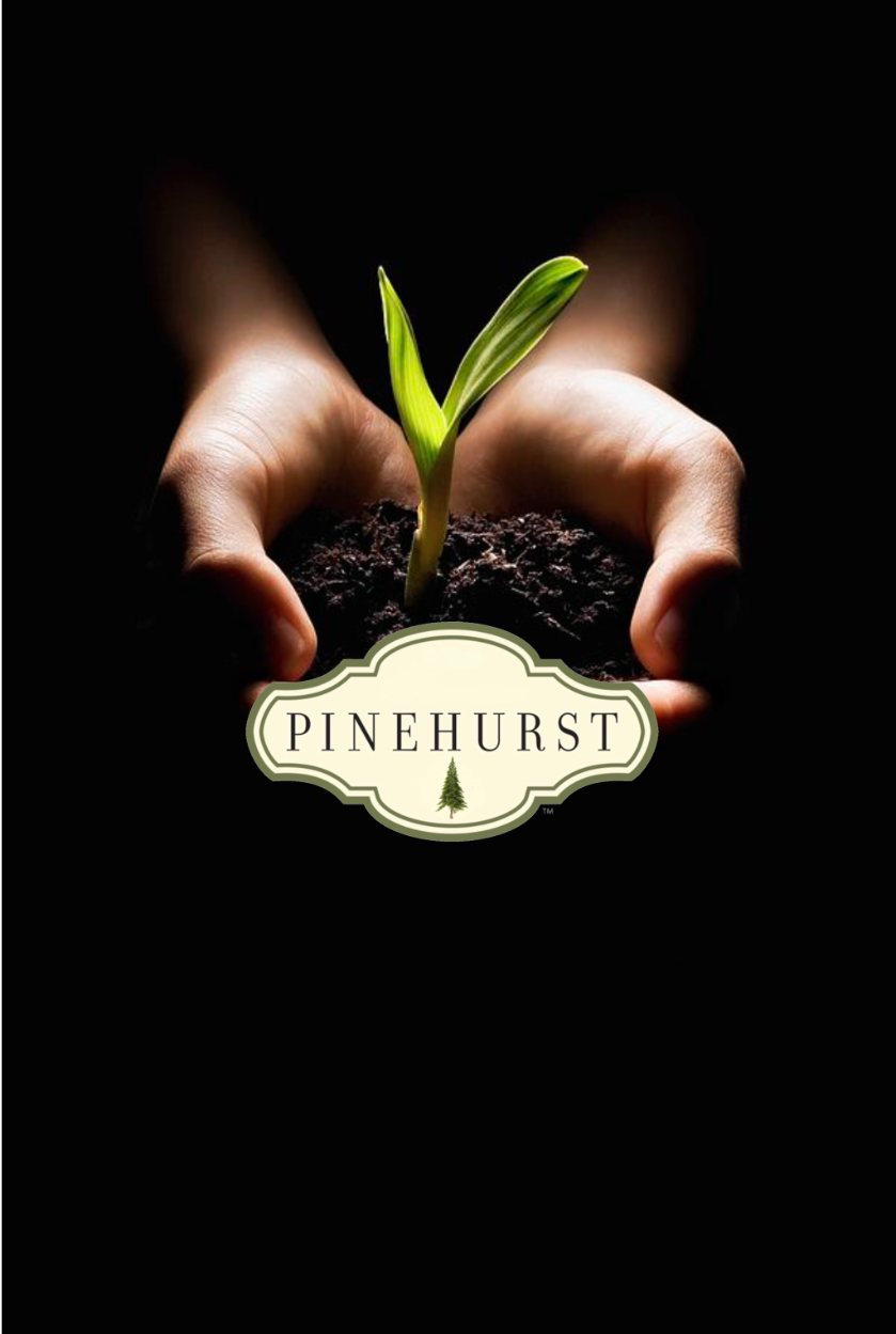 Soil Audit : Analysis and Interpretation