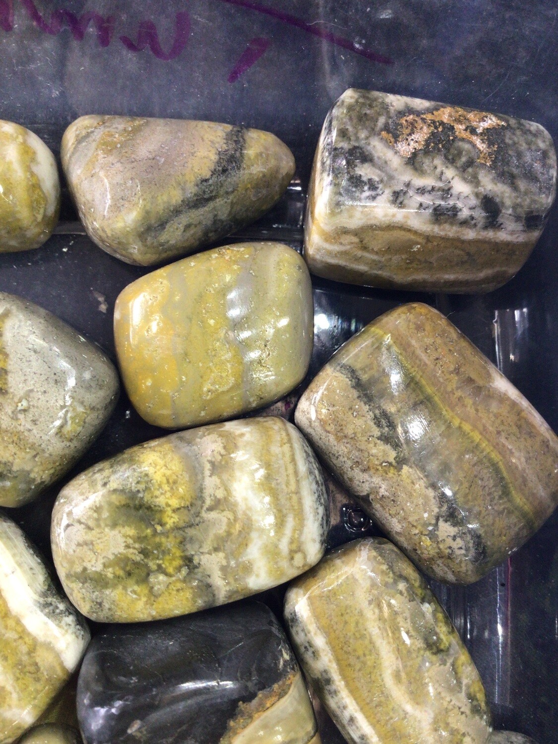Bumblebee Jasper PT