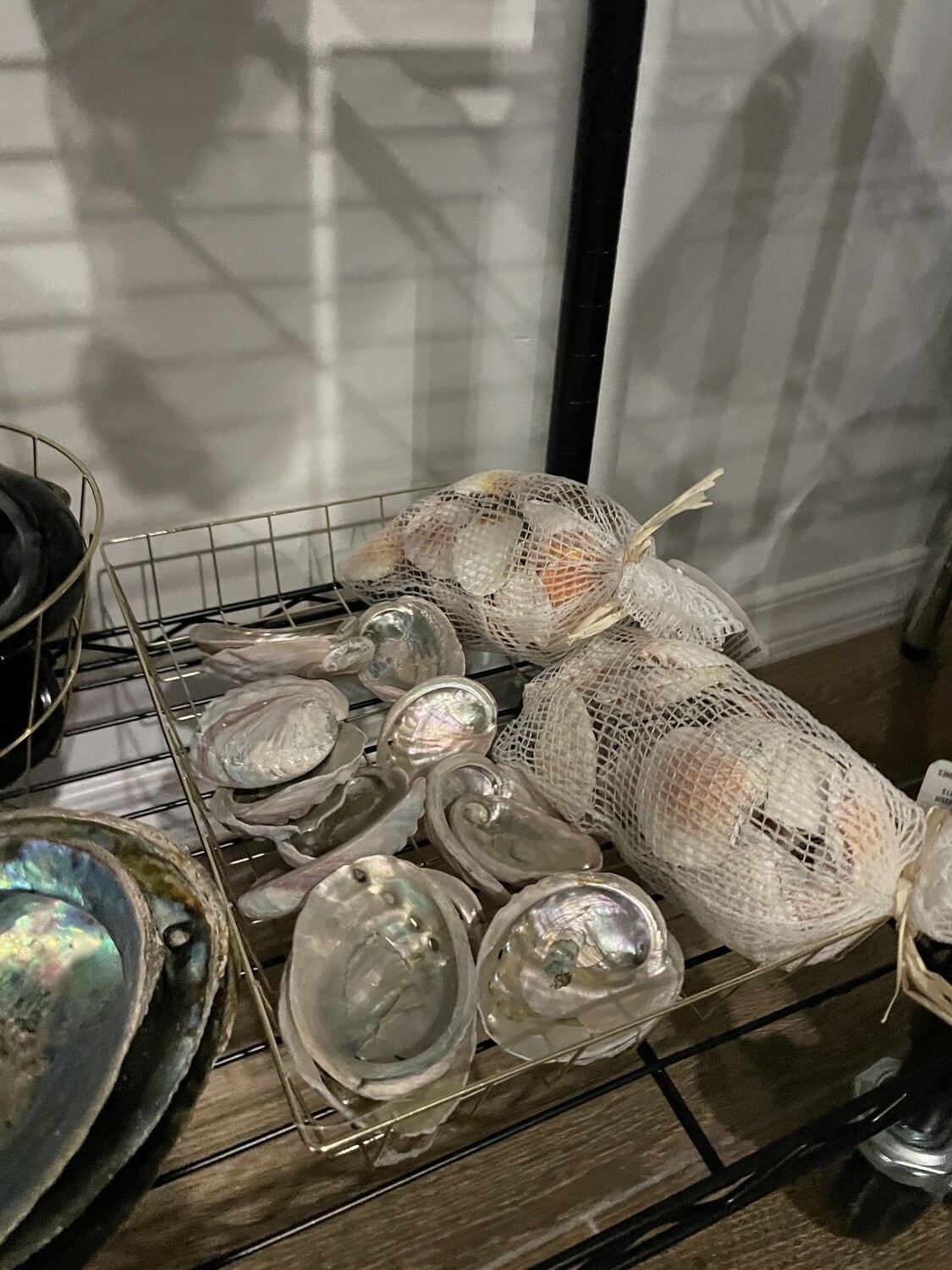 Abalone Shells SM
