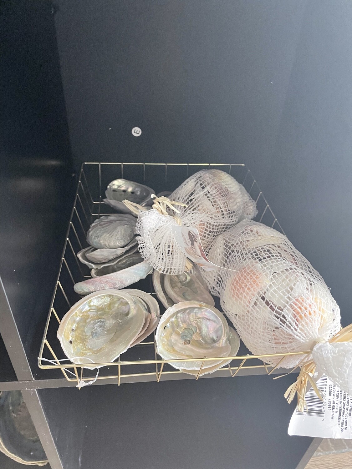 Abalone Shells SM