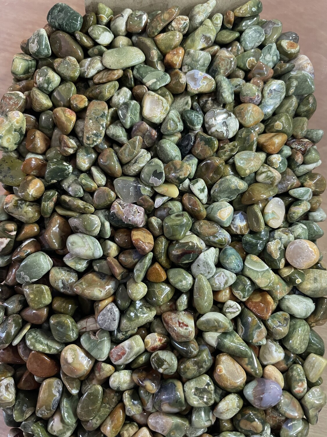 Rainforest Jasper TC
